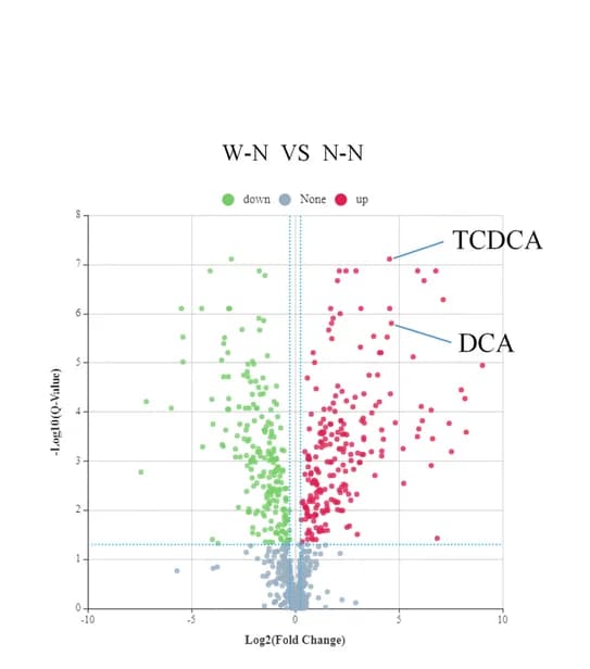 Open access visualization of Volcano Plot, Metabolites, Scatter Plot, Bile Acids