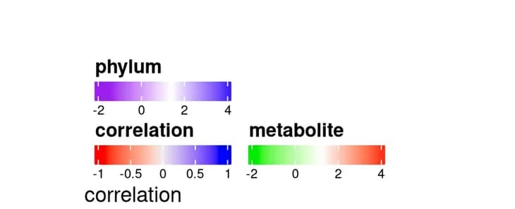 Open access visualization of Heatmap, Correlation, Differential Metabolites, Microbial Groups, Relative Abundance