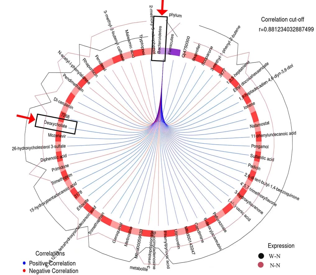 Open access visualization of Chord, Ring Diagram, Correlation, Metabolites, Microorganisms