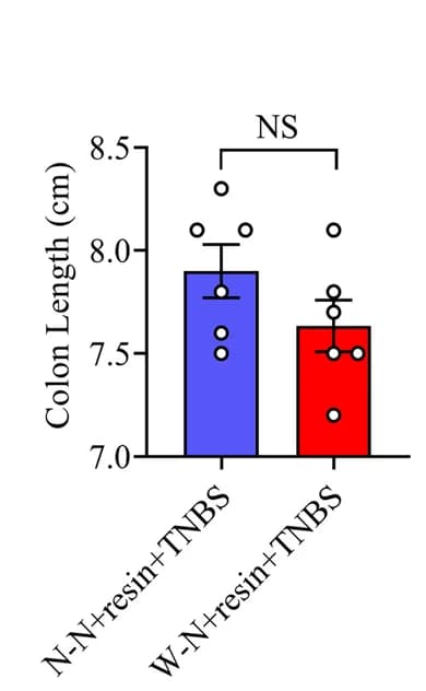 Open access visualization of Bar Plot, Error Bars, Scatter Plot, Mice, Colon Length