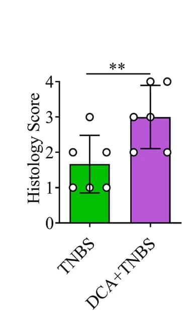 Open access visualization of Bar Plot, Error Bars, Scatter Plot, Colon Sections, Histology Scores