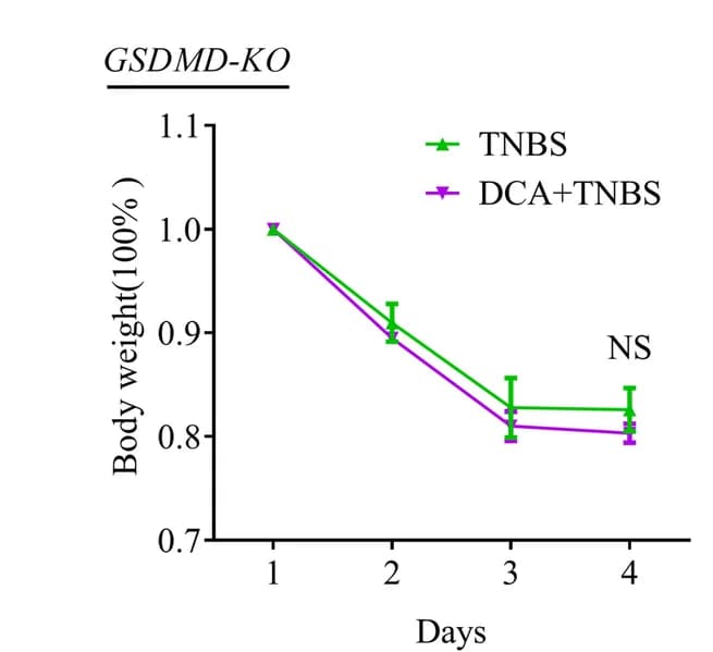 Open access visualization of Line Plot, Error Bars, Body Weight, TNBS, GSDMD-KO Mice