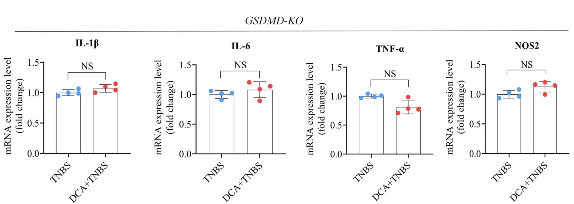 Open access visualization of Bar Plot, Error Bars, Scatter Plot, mRNA Levels, Pro-inflammatory Cytokines