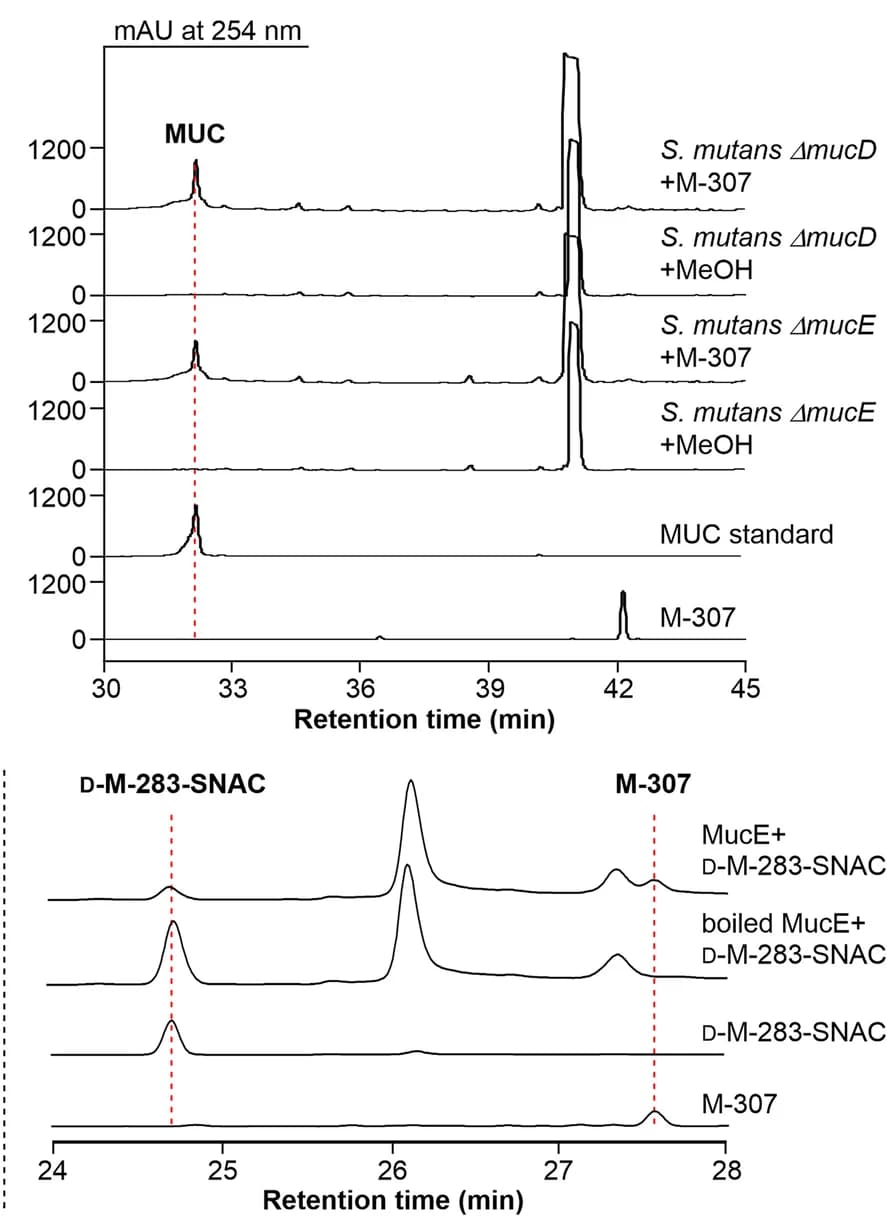 Open access visualization of Line Plot, HPLC, M-307, S. mutans UM, ΔmucD