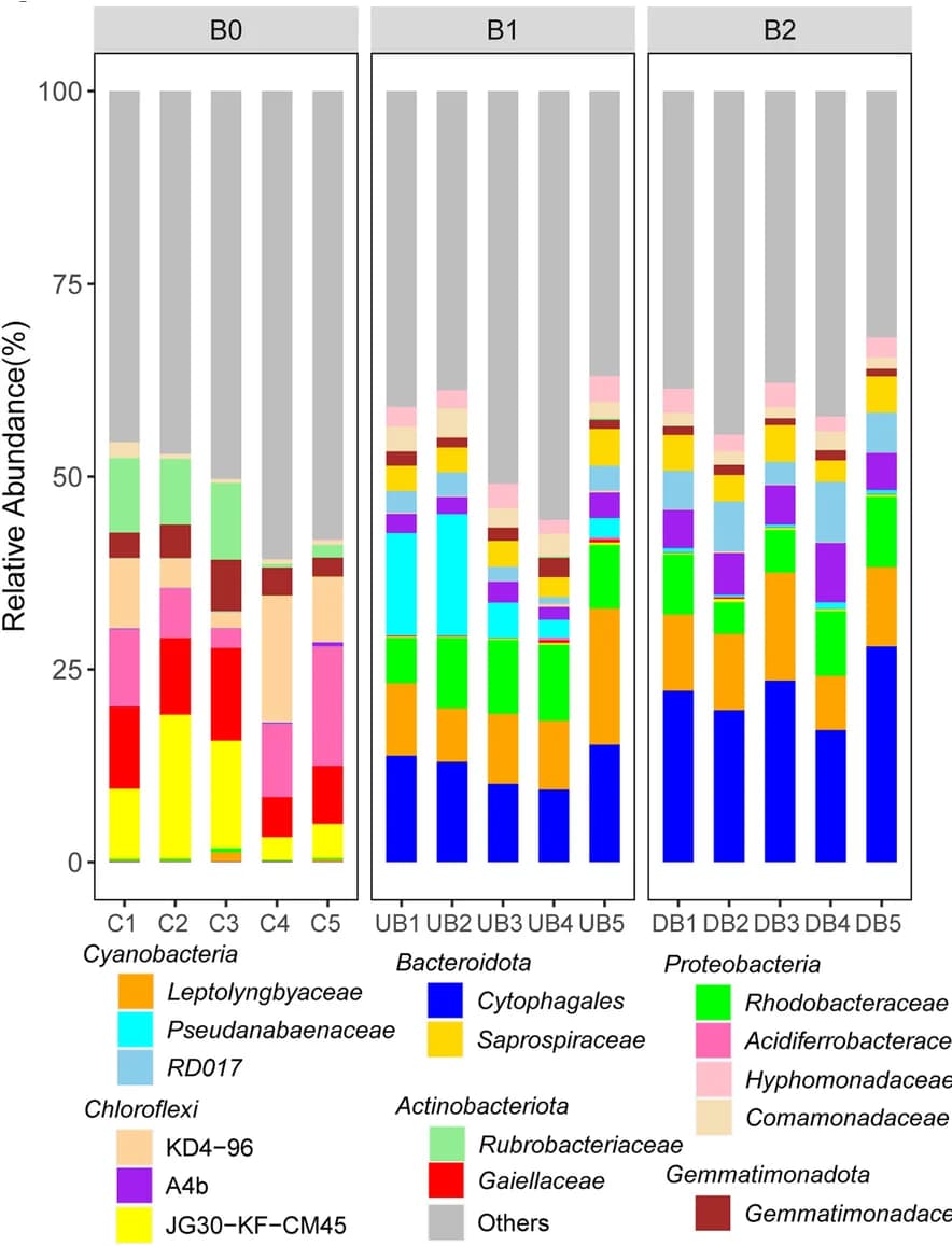 Open access visualization of Stacked Bar Plot, Microbial Composition, Family Level, Bar Plot