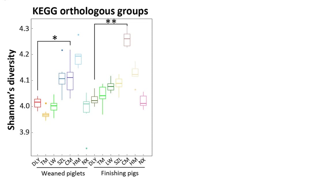 Open access visualization of Box Plot, Diversity Analysis, KEGG Orthologous Groups, Shannon Index, Metagenomics