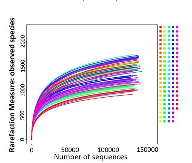 Open access visualization of Line Plot, Rarefaction Curves, Observed Species Index, 16S rDNA Gene Amplicon Sequencing