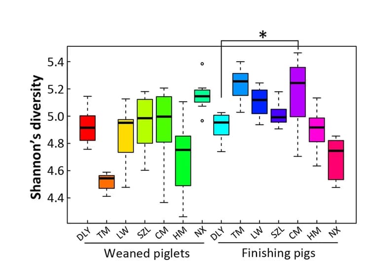 Open access visualization of Box Plot, Gut Bacterial Alpha Diversity, Shannon Index