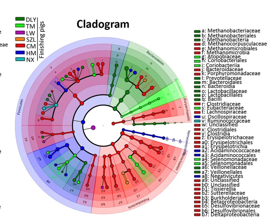 Open access visualization of Network, Pathway, Cladogram, Gut Bacterial Compositions, Finishing Pigs