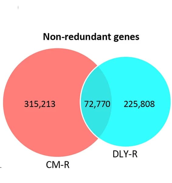 Open access visualization of Venn Diagram, Gut Microbial Genes, Non-redundant Genes