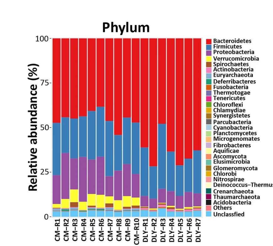 Open access visualization of Stacked Bar Plot, Histogram, Microbial Taxonomy, Phylum