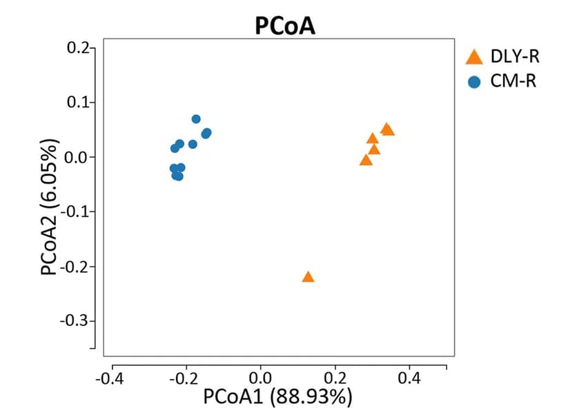 Open access visualization of Scatter Plot, PCA, PCoA, Gut Bacteria, Beta Diversity