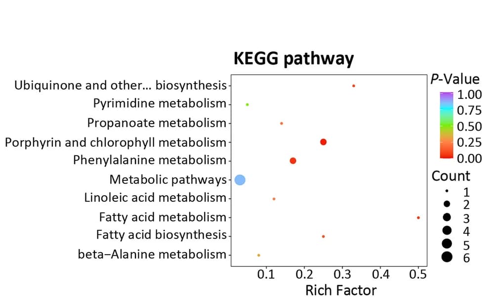 Open access visualization of Scatter Plot, Bubble Plot, Volcano Plot, KEGG pathways, Serum metabolites