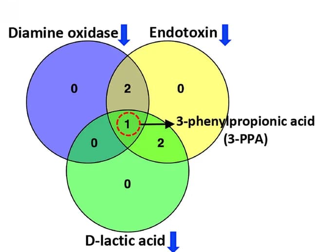 Open access visualization of Venn Diagram, Metabolites, Serum diamine oxidase, Endotoxin, D-lactic acid