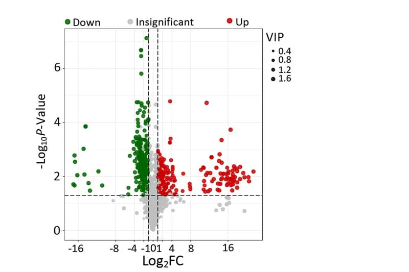 Open access visualization of Scatter Plot, Volcano Plot, Fecal metabolites, OPLS-DA