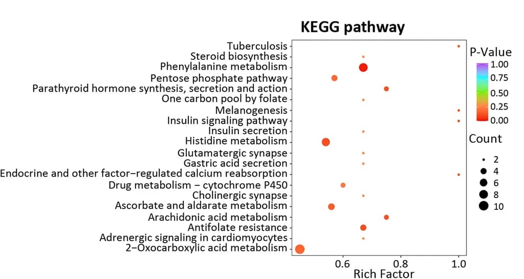 Open access visualization of Bubble Plot, Scatter Plot, KEGG pathways, Fecal metabolites