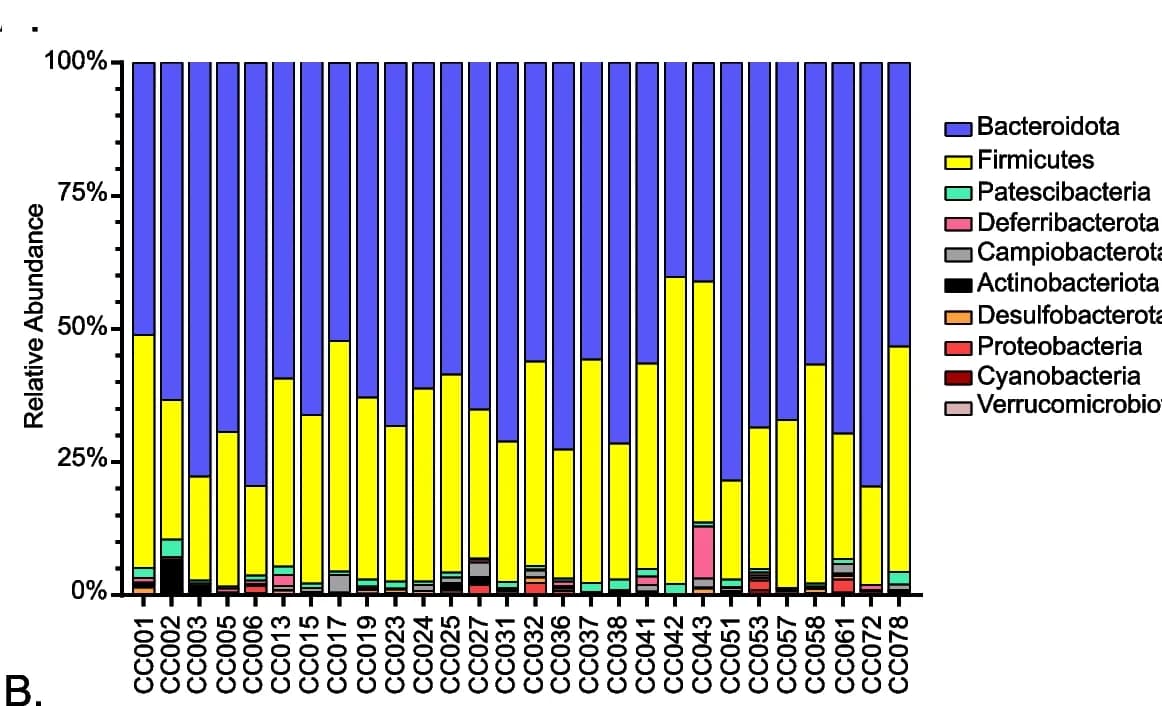 Open access visualization of Stacked Bar Plot, Relative bacterial abundance, Phyla, Feces, CC strains