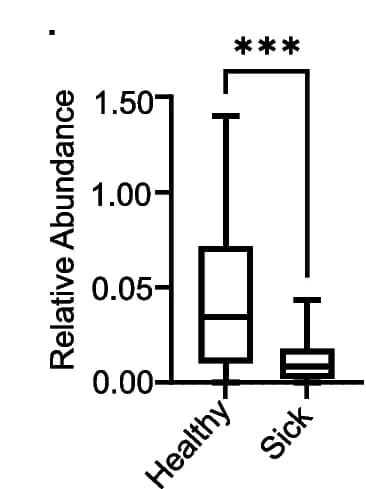 Open access visualization of Box Plot, Genus Lachnospiraceae UCG-006, Class Clostridia, Phylum Firmicutes, CC strains