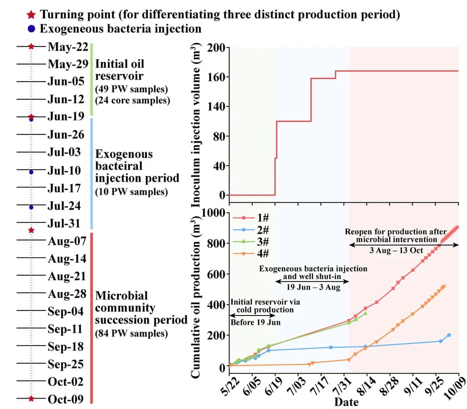 Open access visualization of Line Plot, Line Step, Field Trial Design, Sampling Scheme, Oil Production