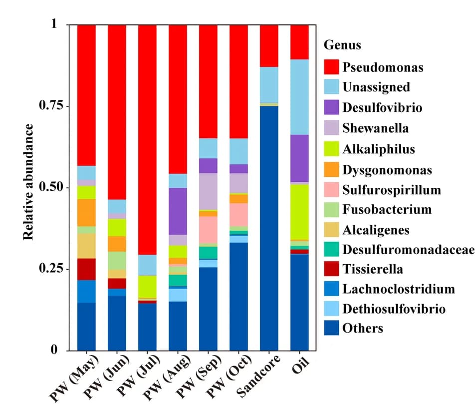 Open access visualization of Stacked Bar Plot, Bacterial Composition, Genus Level