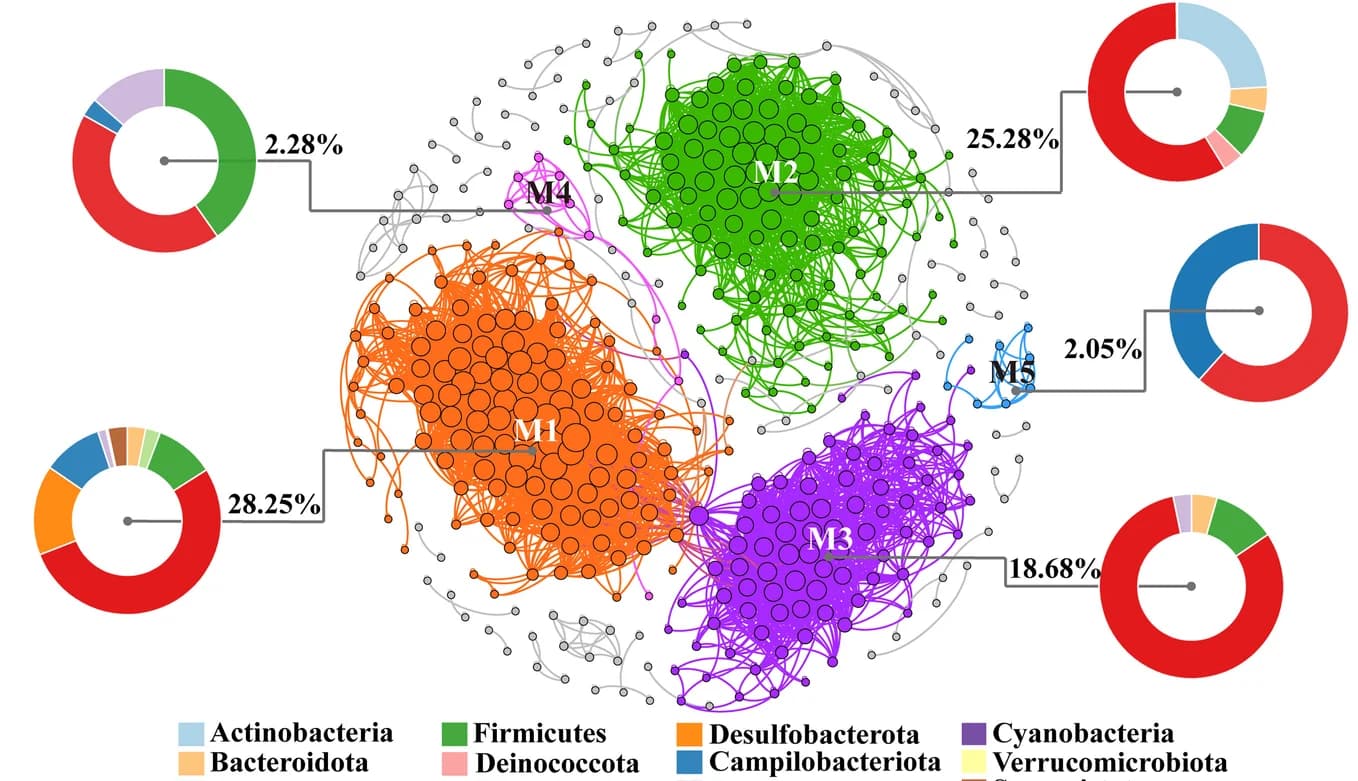 Open access visualization of Network, Pie Chart, Donut Chart, Co-occurrence network, Modules
