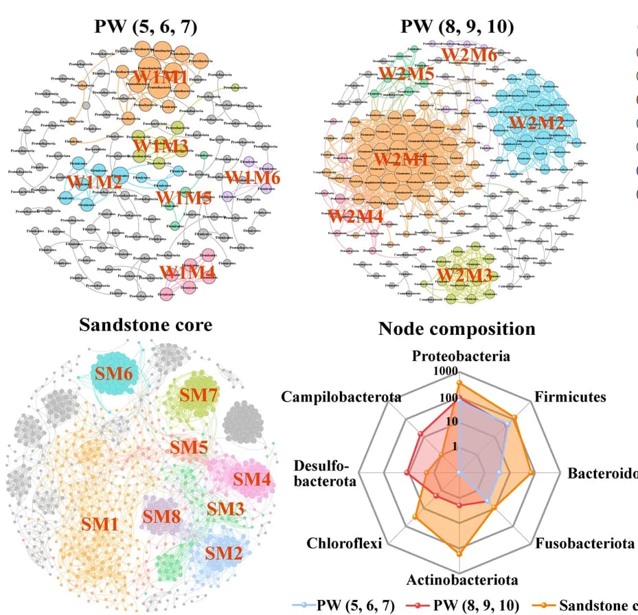 Open access visualization of Network, Radar Chart, Co-occurrence patterns, Subnetworks, Habitats