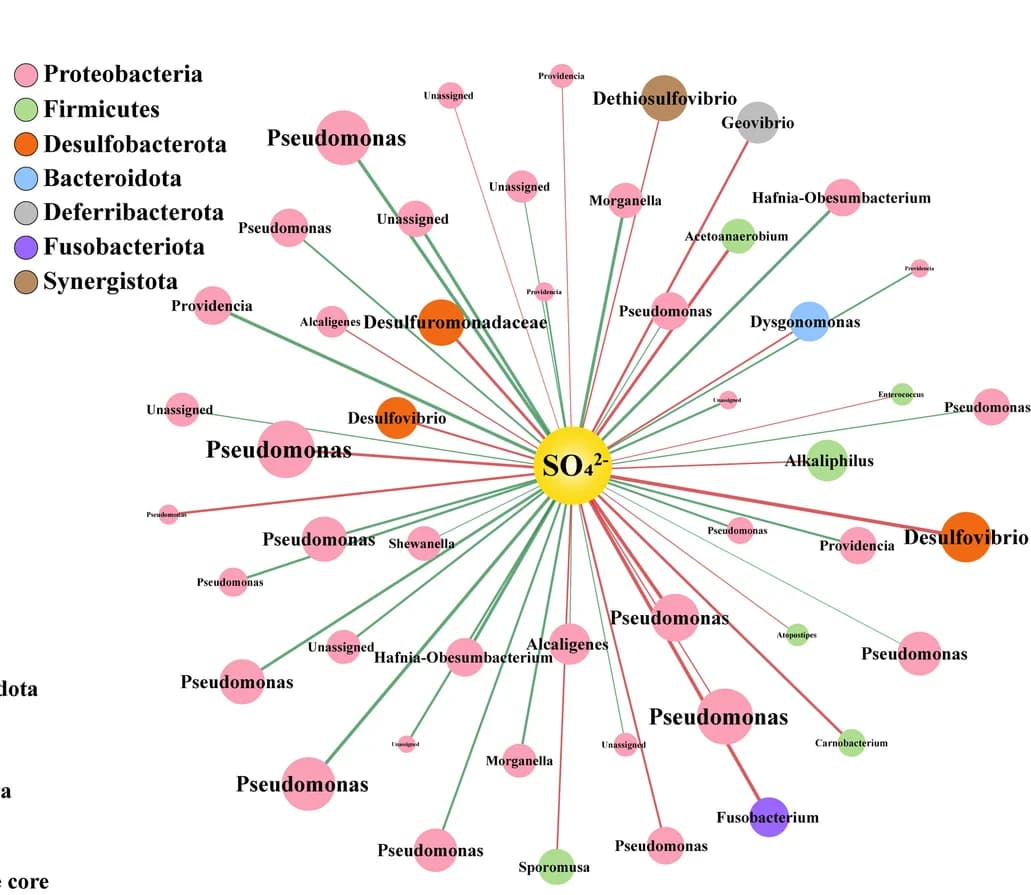 Open access visualization of Network, Pathway, Correlation network, Microbial species, Electron acceptors