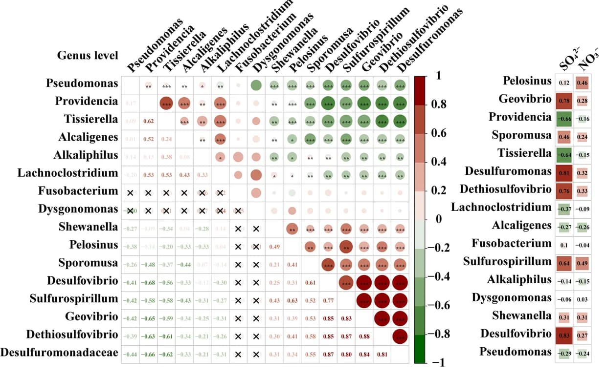 Open access visualization of Heatmap, Genus Level, Correlation Analysis, Spearman's Correlation Coefficient, P-values