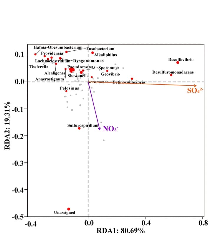 Open access visualization of Scatter Plot, Transformed Redundancy Analysis, Genera, Electron Acceptors
