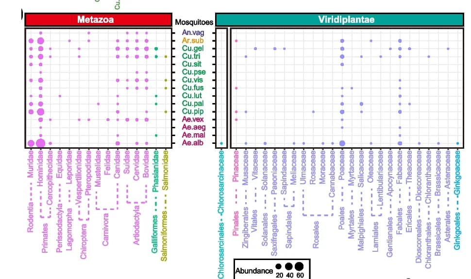 Open access visualization of Bubble Plot, Food Sources, Animals, Plants, Mosquito Species