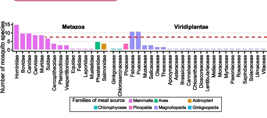 Open access visualization of Bar Plot, Food Sources, Animals, Plants, Mosquitoes