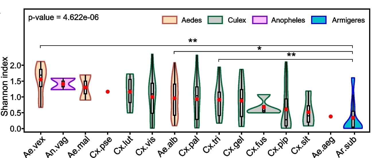 Open access visualization of Violin Plot, Box Plot, Scatter Plot, Shannon Index, Virus OTUs