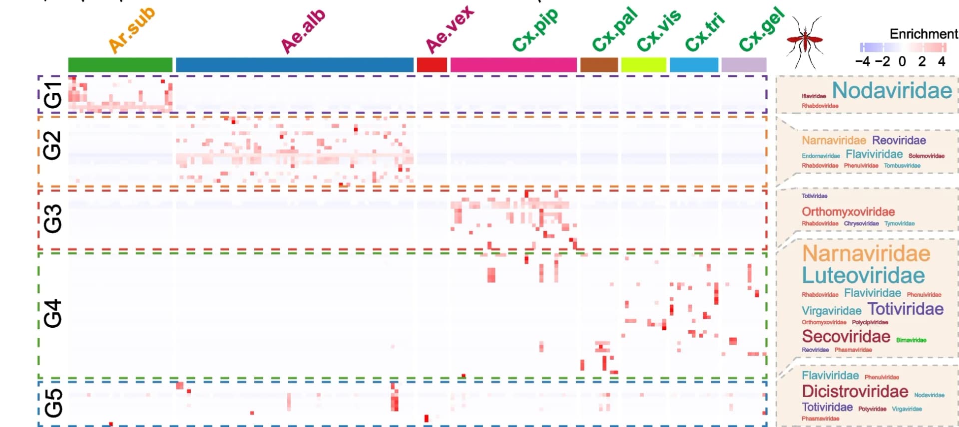 Open access visualization of Heatmap, Clustered, Heatmap Plot, Virus OTUs, Mosquito Species