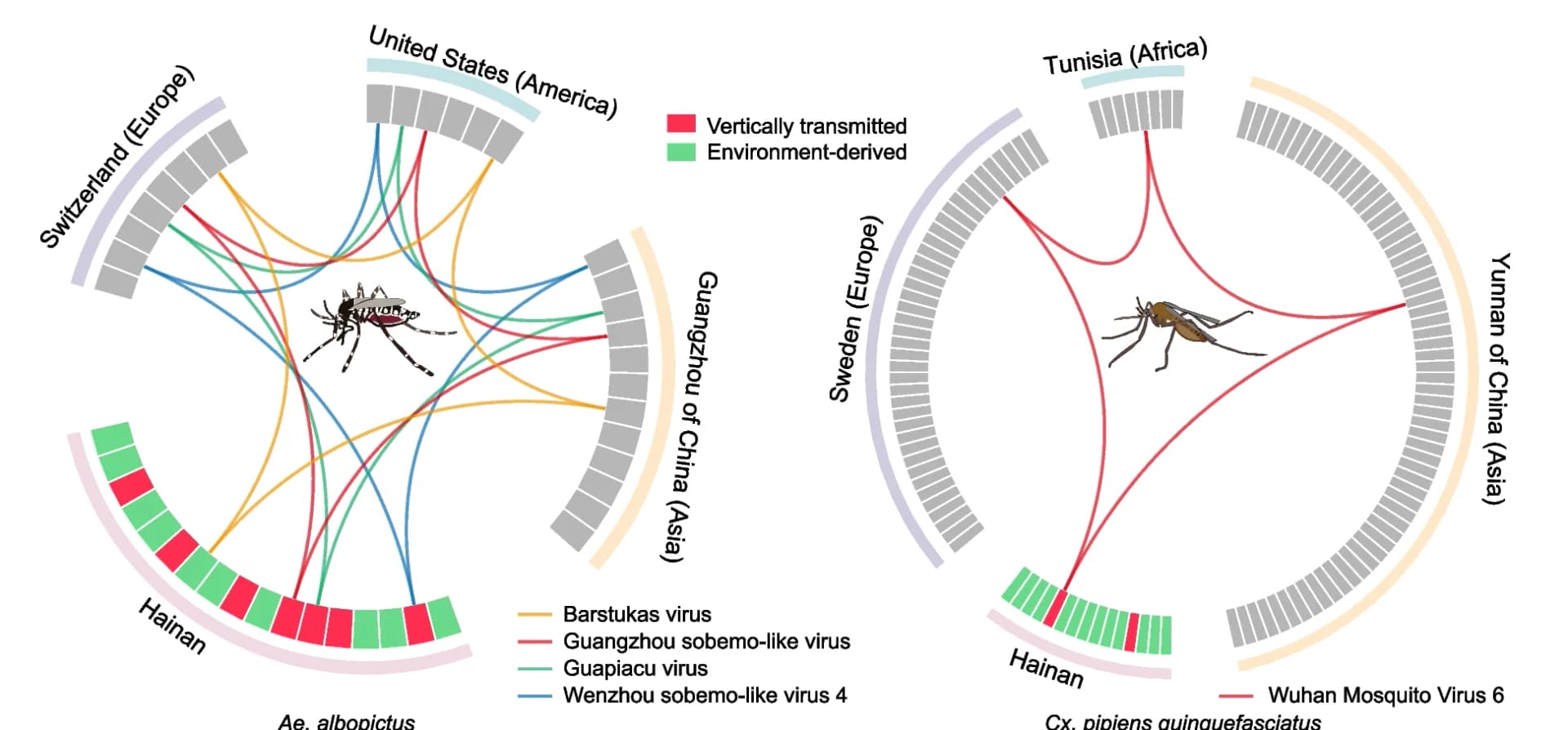 Open access visualization of Chord, Spatial Associations, RNA Viruses, Continents, Aedes albopictus