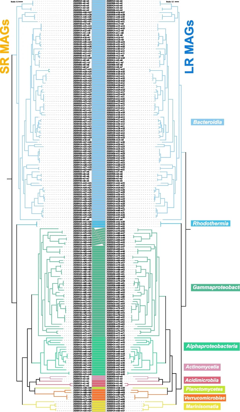 Open access visualization of Line Plot, Network, MAGs, Metagenomic Samples, Phylogenetic Reconstruction