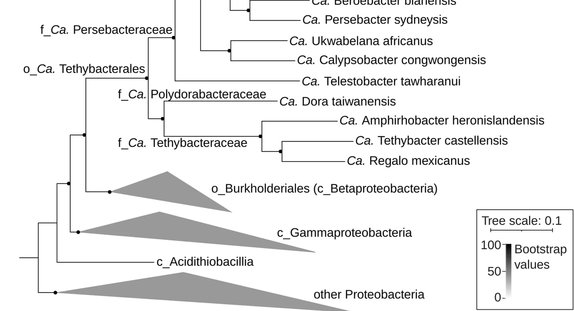 Open access visualization of Network, Pathway, Phylogenetic Tree, Marker Genes, Co-assembly