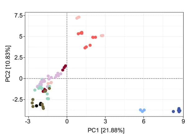 Open access visualization of Scatter Plot, PCA, PCA plot, Ordination, Samples
