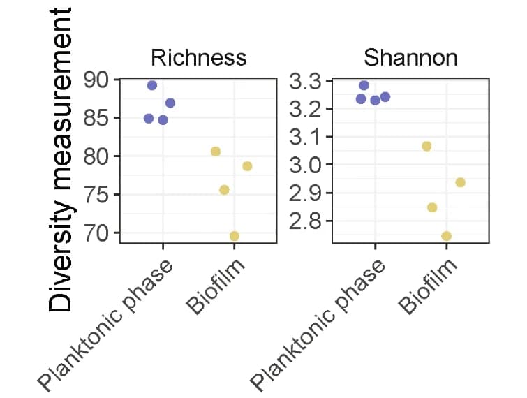 Open access visualization of Scatter Plot, Alpha-Diversity, Biofilm, Planktonic Phase