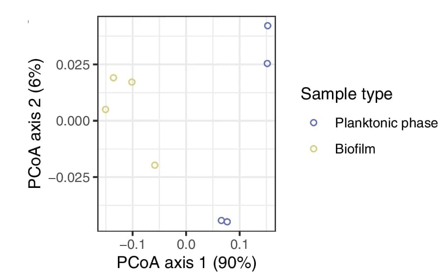 Open access visualization of Scatter Plot, PCA, Principle Coordinates Analysis, Bray-Curtis Dissimilarity, Variance