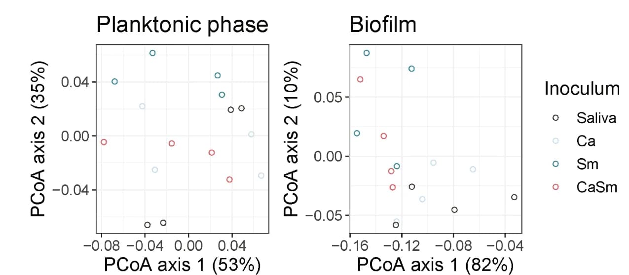 Open access visualization of Scatter Plot, PCA, UMAP, Principle Coordinates Analysis, BrayCurtis Dissimilarity