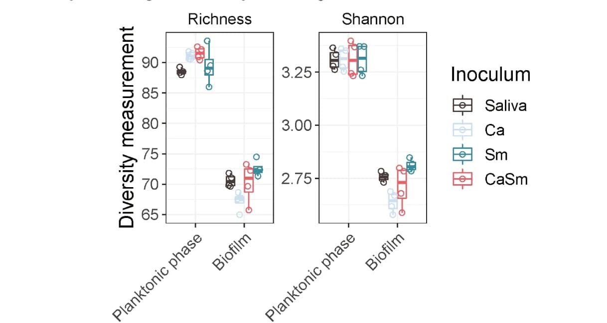 Open access visualization of Box Plot, Scatter Plot, Alpha Diversity, Planktonic Phases, Biofilms