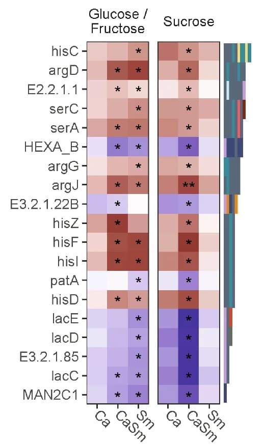 Open access visualization of Heatmap, Clustered, Bar Plot, KEGG Orthologs, Glucose