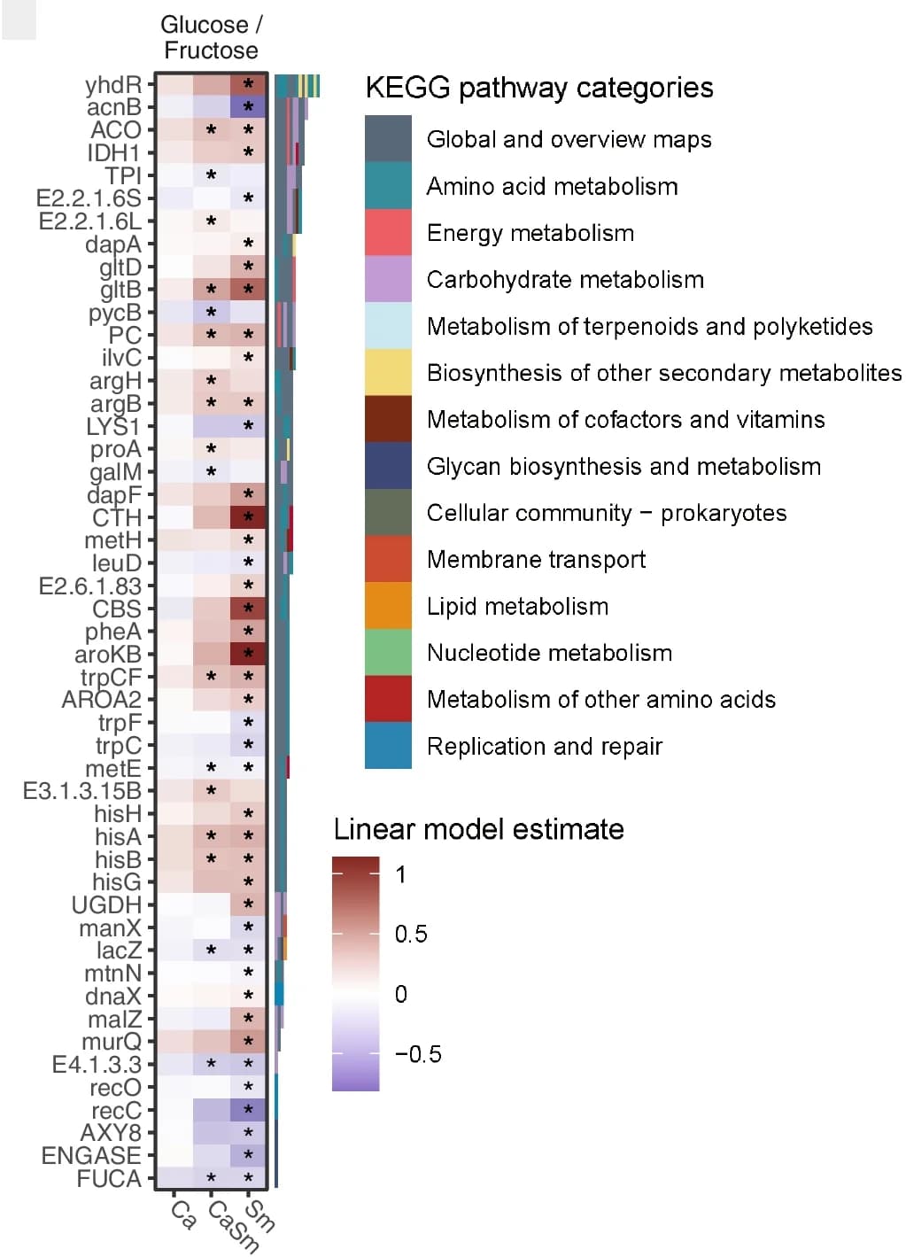 Open access visualization of Heatmap, KEGG Orthologs, Glucose, Fructose, Pathways