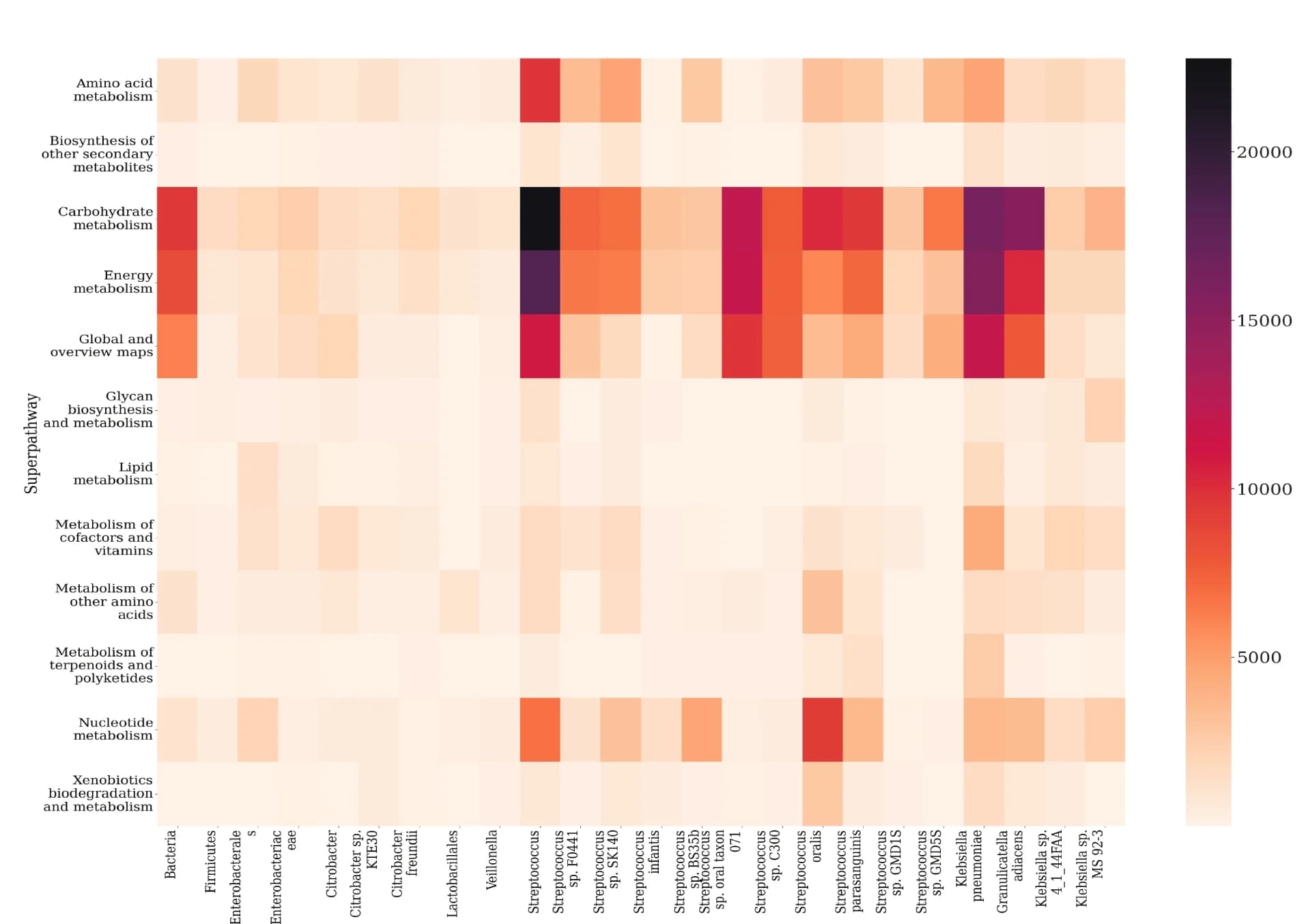 Open access visualization of Heatmap, Taxa Contribution, KEGG Superpathways, Enzyme Annotation, MetaPro