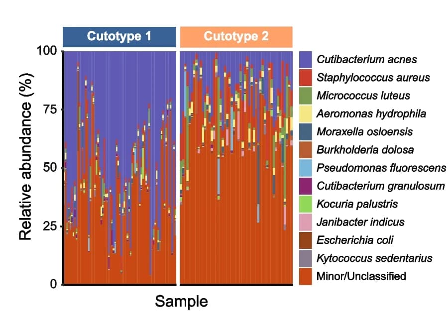 Open access visualization of Stacked Bar Plot, Bacterial Taxa, Relative Abundance, Cutotype