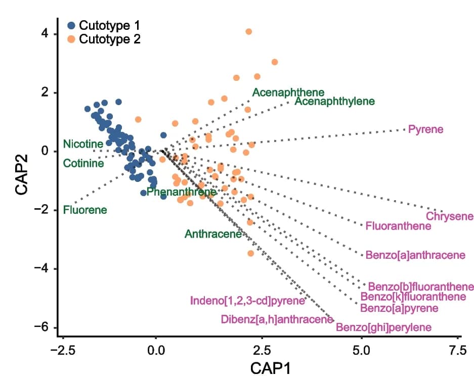 Open access visualization of Scatter Plot, Redundancy Analysis, PAHs, Cutotype Differentiation, Molecular Weight