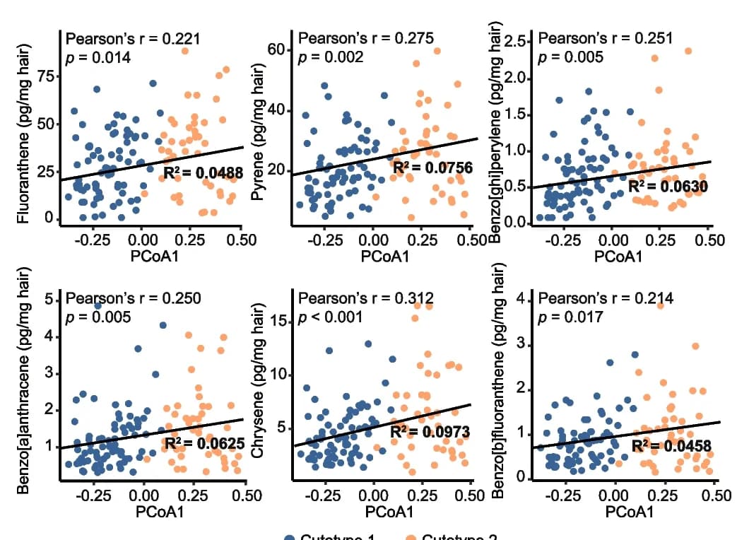 Open access visualization of Scatter Plot, Regression Plot, Spearman’s Correlation, Principal Coordinate Analysis, PAHs