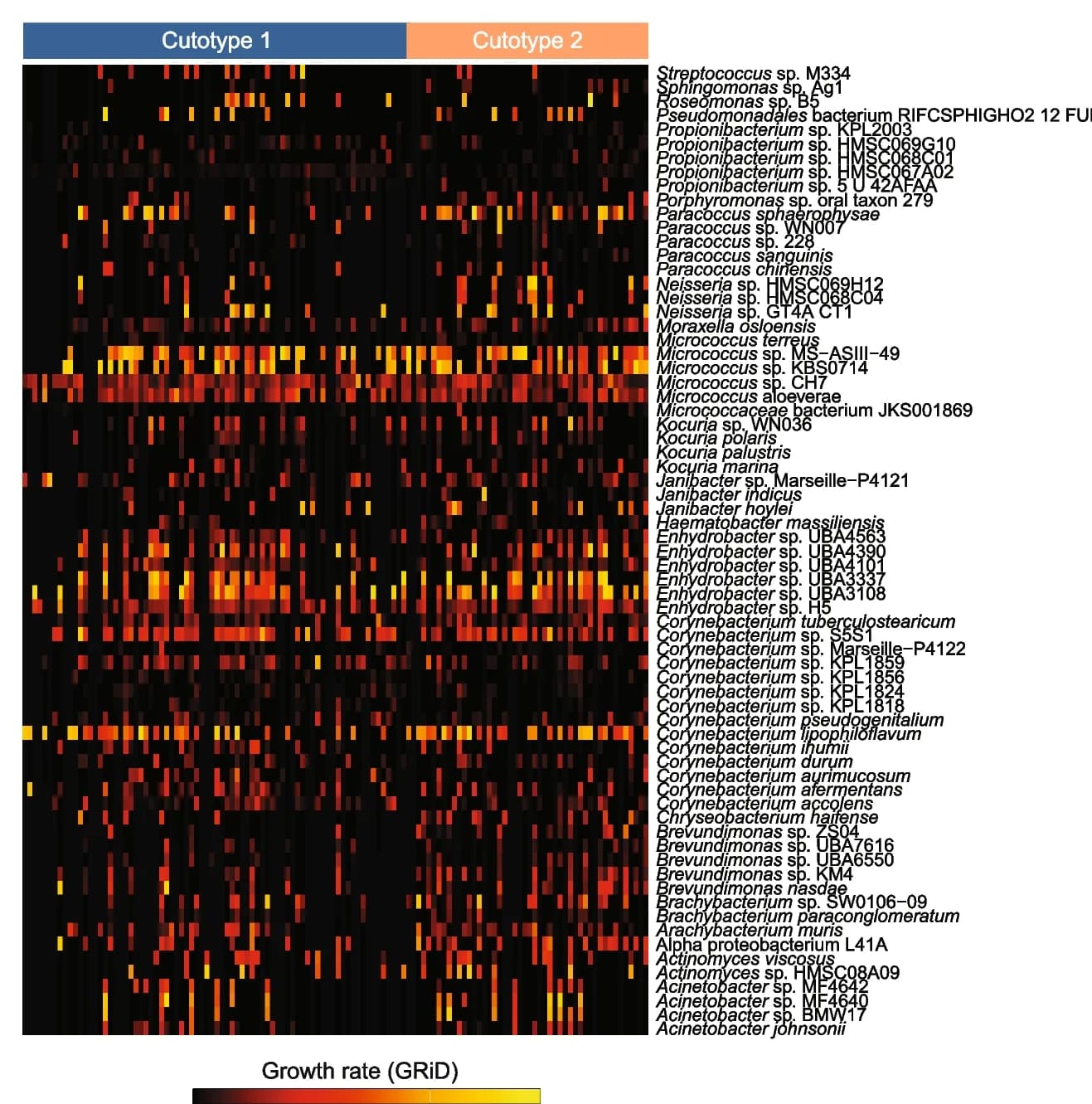 Open access visualization of Heatmap, Growth Rate, Microbiome, Species, Cutotype