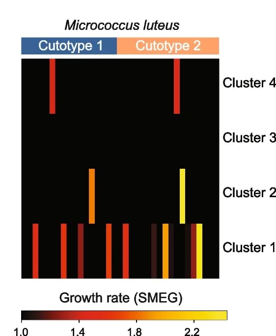 Open access visualization of Heatmap, Clustered, Growth Rate, Microbiome, Subspecies