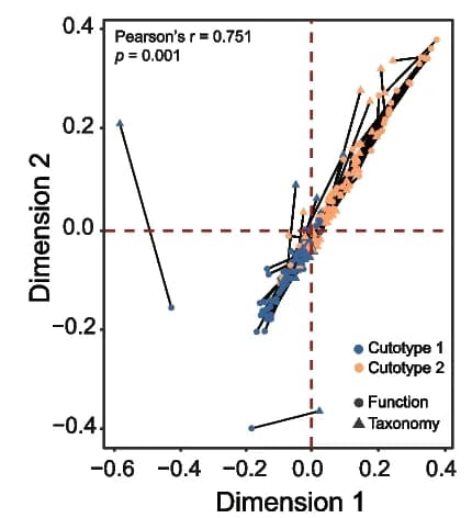 Open access visualization of Scatter Plot, Microbiome, Taxonomic composition, Functional composition, Pearson correlation